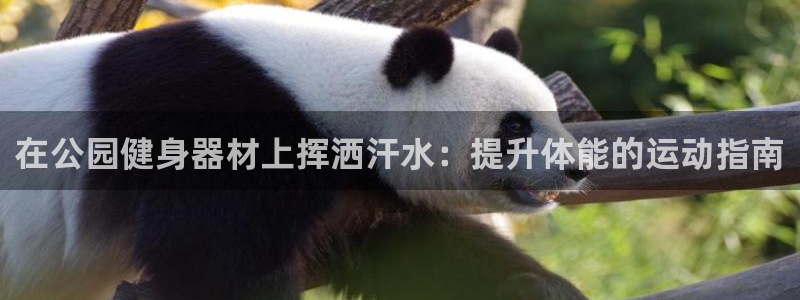 意昂2招商