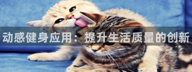 意昂2注册