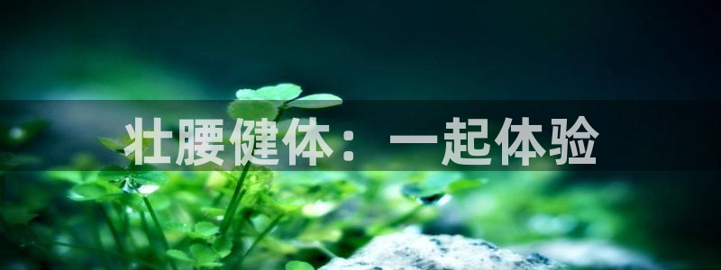 意昂2代理
