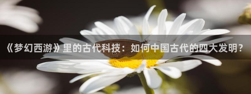 阿宾正传1—72与钰慧趣笔阁：《梦幻西游》里的古代科技：如何中国古代的四大发明？
