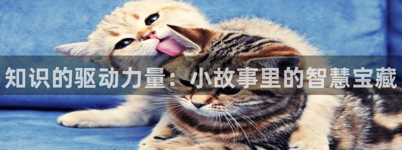 诡秘之主小说趣笔阁：知识的驱动力量：小故事里的智慧宝藏