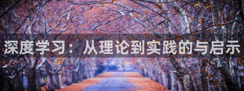 趣笔阁免费阅读：深度学习：从理论到实践的与启示