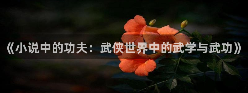 趣笔阁小说网：《小说中的功夫：武侠世界中的武学与武功》