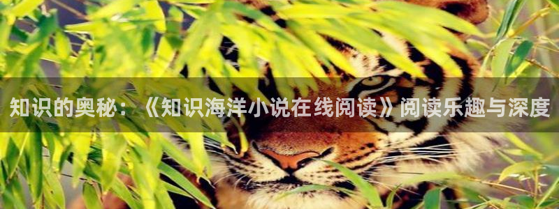 盗墓笔记小说趣笔阁：知识的奥秘：《知识海洋小说在线阅读》阅读乐趣与深度