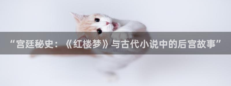趣笔阁：“宫廷秘史：《红楼梦》与古代小说中的后宫故事”