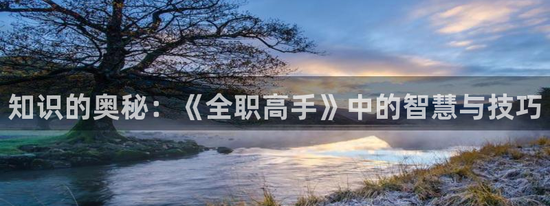 长日光阴似箭乱作一团趣笔阁：知识的奥秘：《全职高手》中的智慧与技巧